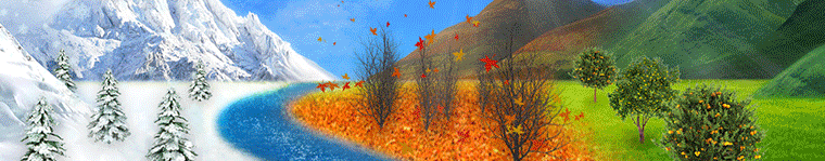 Backdrops Beautiful