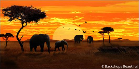 Backdrops Beautiful | Hand Painted Scenic Backdrop Rentals and Sales