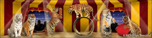 Backdrops: Circus 10 Tigers