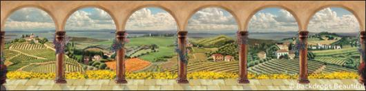 Backdrops: European 1E Columns