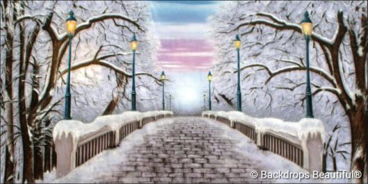 Backdrops: Walk in the Park Winter 3E