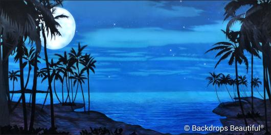 Backdrops: Tropical Beach 15 Moonlight