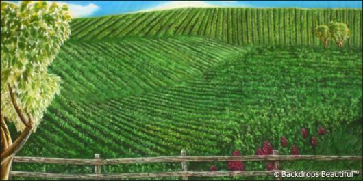 Backdrops: Tuscany 7c