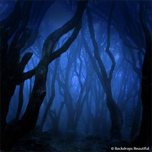 Backdrops: Dark Forest 10 Twilight