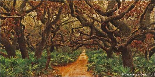 Backdrops: Dark Forest 5