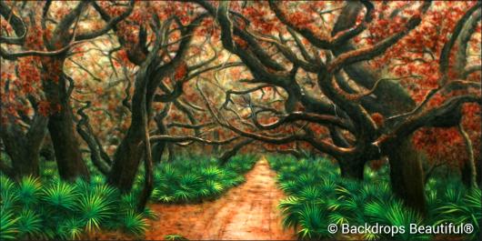 Backdrops: Dark Forest 1