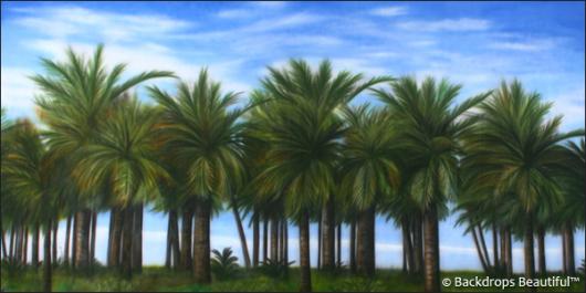 Backdrops: Palm Trees