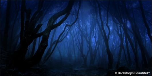 Backdrops: Dark Forest 6B Twilight