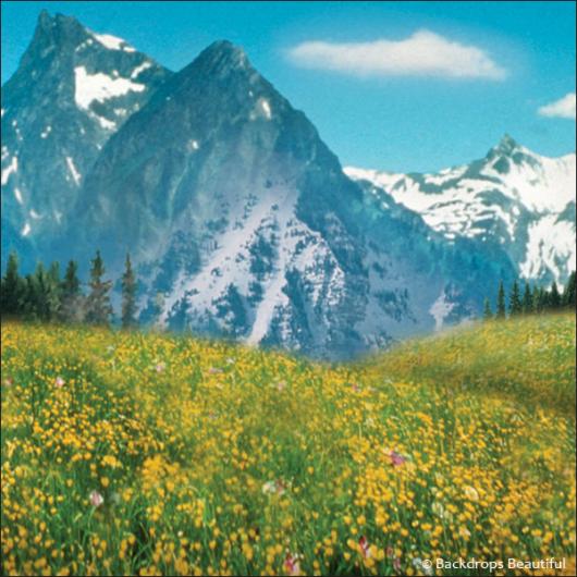 Backdrops: Aspen Mountains 6