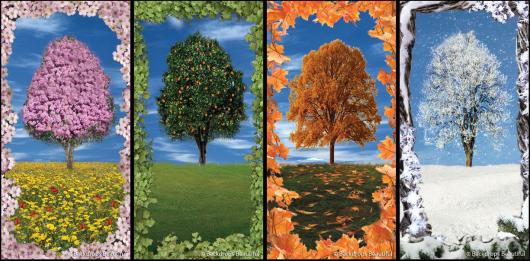 Backdrops: Tree 2 Seasons (Alt View)