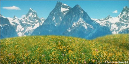 Backdrops: Aspen Mountains 4B