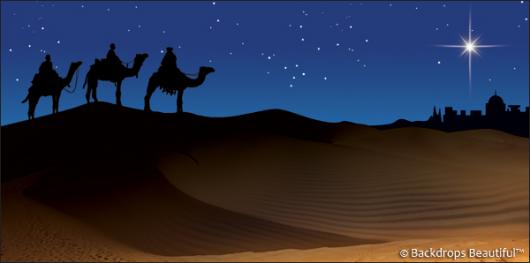 Backdrops: Nativity Scene