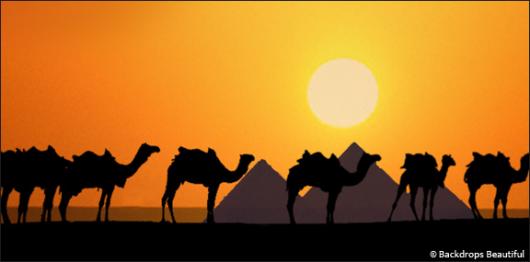 Backdrops: Camel Silhouette 2