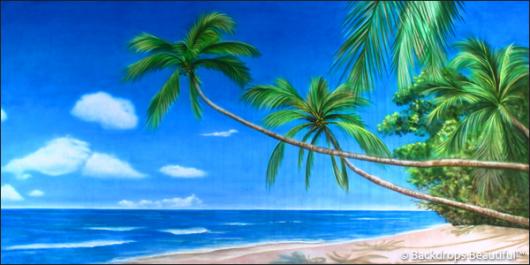 Backdrops: Tropical Beach  2