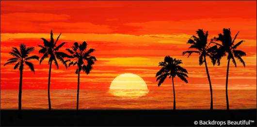 Backdrops: Sunset Beach 4