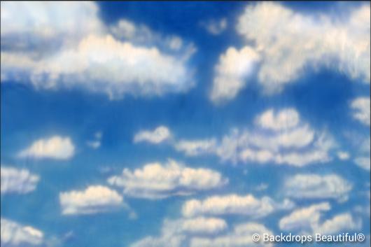 Backdrops: Clouds 6C