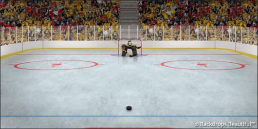 Backdrops: Hockey 1