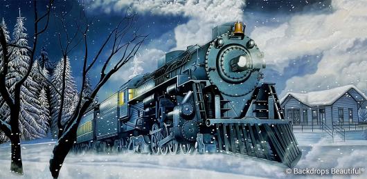 Backdrops: Train 5B Winter