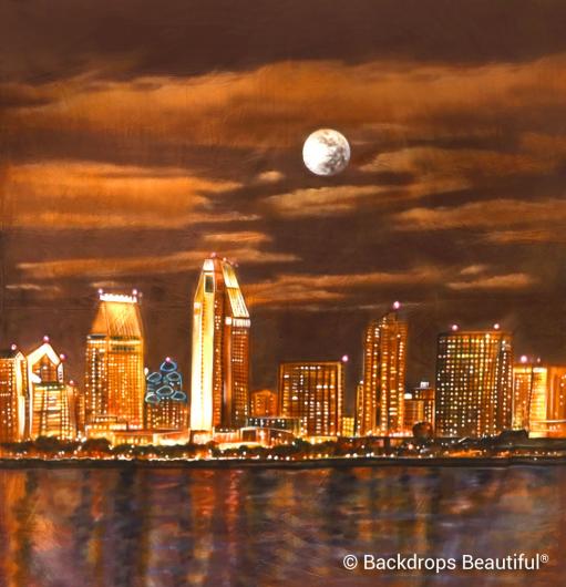Backdrops: San Diego by Night 2