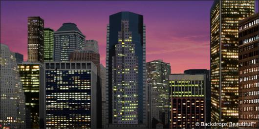 Backdrops: City Skyline 5 Night