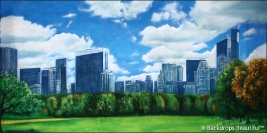 Backdrops: Central Park 1 Day