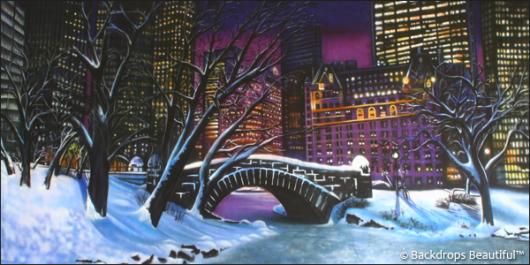 Backdrops: Central Park 2A Winter