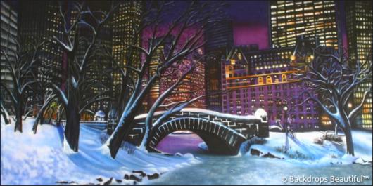 Backdrops: Central Park 2B Winter