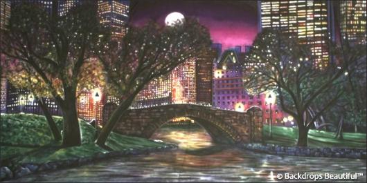 Backdrops: Central Park 4 Night
