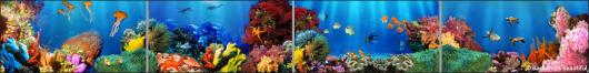 Backdrops: Coral Reef 4 Panel