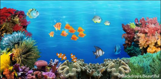 Backdrops: Coral Reef 6