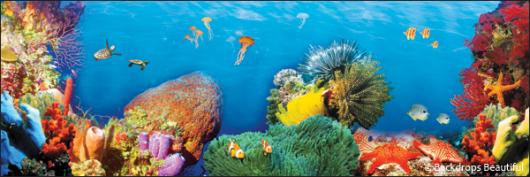 Backdrops: Coral Reef 8A