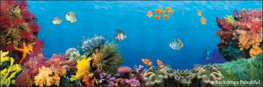 Backdrops: Coral Reef 8B