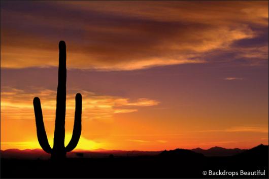 Backdrops: Desert Sunset 2