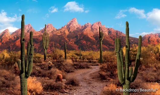 Backdrops: Desert Mountain 2 Digital