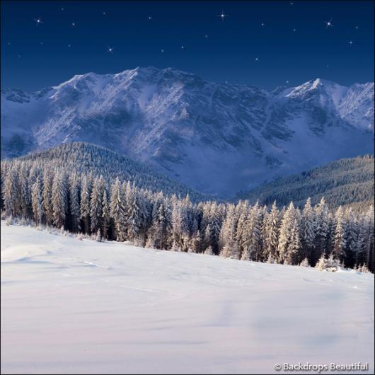 Backdrops: Winter Wonderland 6L (Vinyl)