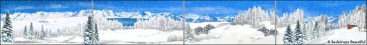 Backdrops: Winter Landscape 4
