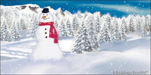 Backdrops: Snowman 4B