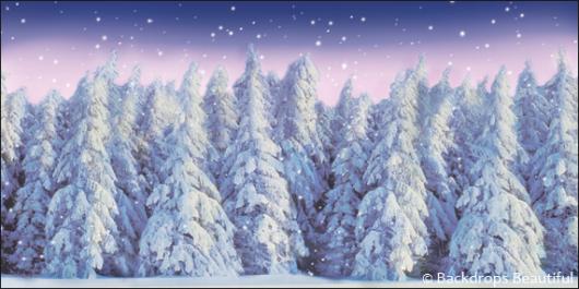 Backdrops: Winter Forest 9B