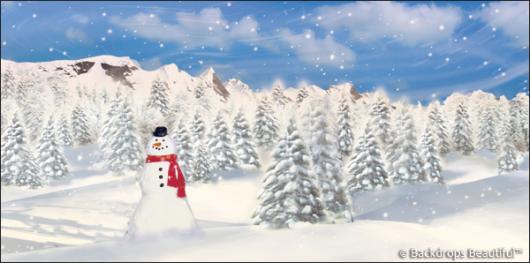 Backdrops: Snowman 1