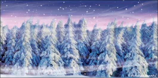 Backdrops: Winter Forest 1B