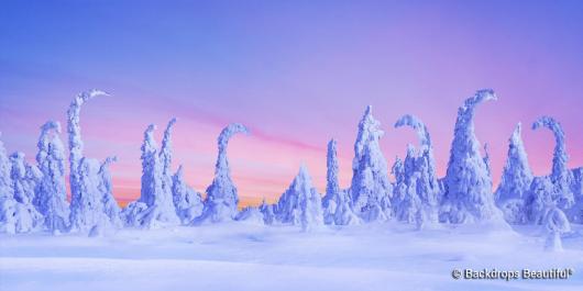 Backdrops: Winter Forest 11
