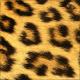 Skin Leopard 3
