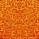 Skin Cheetah 3