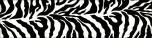 Skin Zebra 4