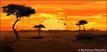 African Savannah 2