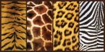 Skin Animal Panel