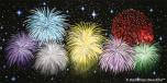 Fireworks Night 5