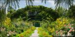 Secret Garden 2