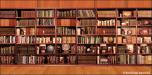 Bookshelves 2