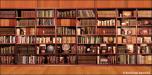 Bookshelves 3